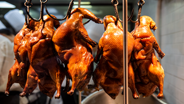 金牌影视金牌影院